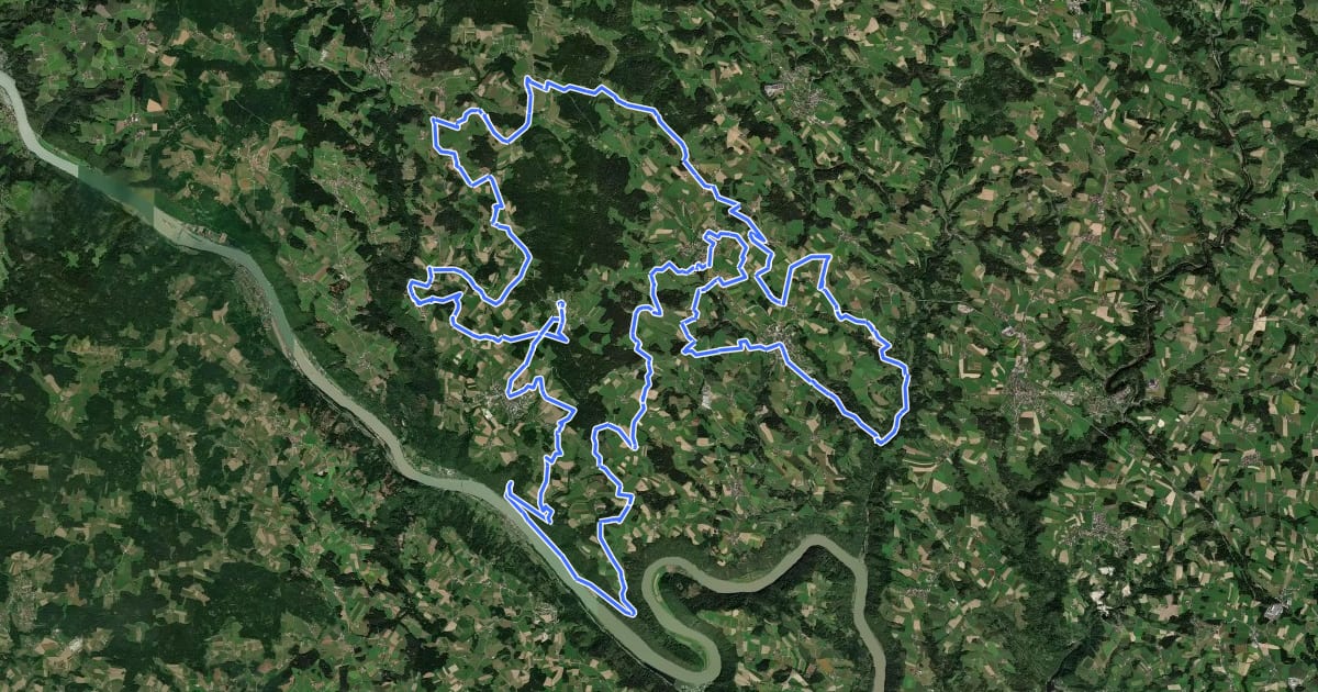 Маршрут Donau-Ameisberg-Runde на спутниковом снимке