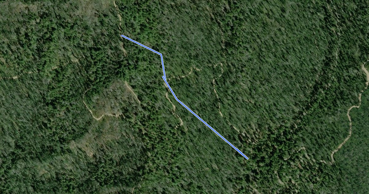 Маршрут Dool Trail на спутниковом снимке