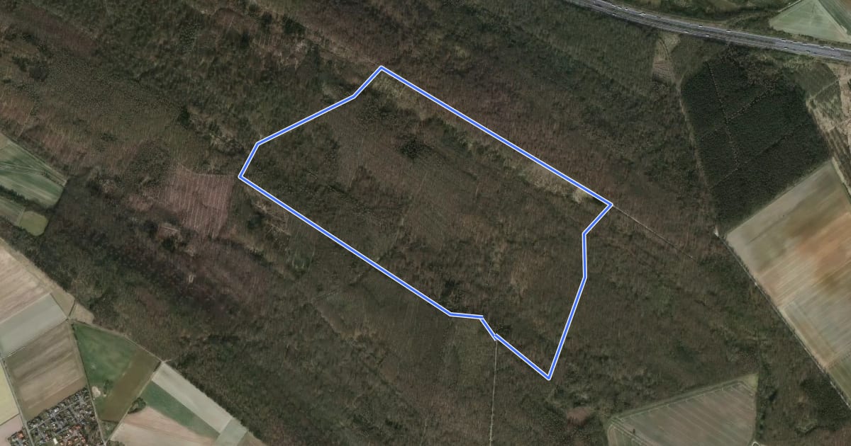 Маршрут Dorm Rundwanderweg 2 на спутниковом снимке