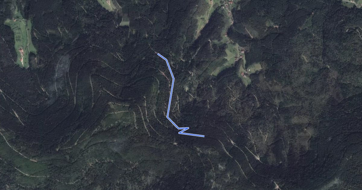 Маршрут Dornenweg - Saale Brunnenweg на спутниковом снимке