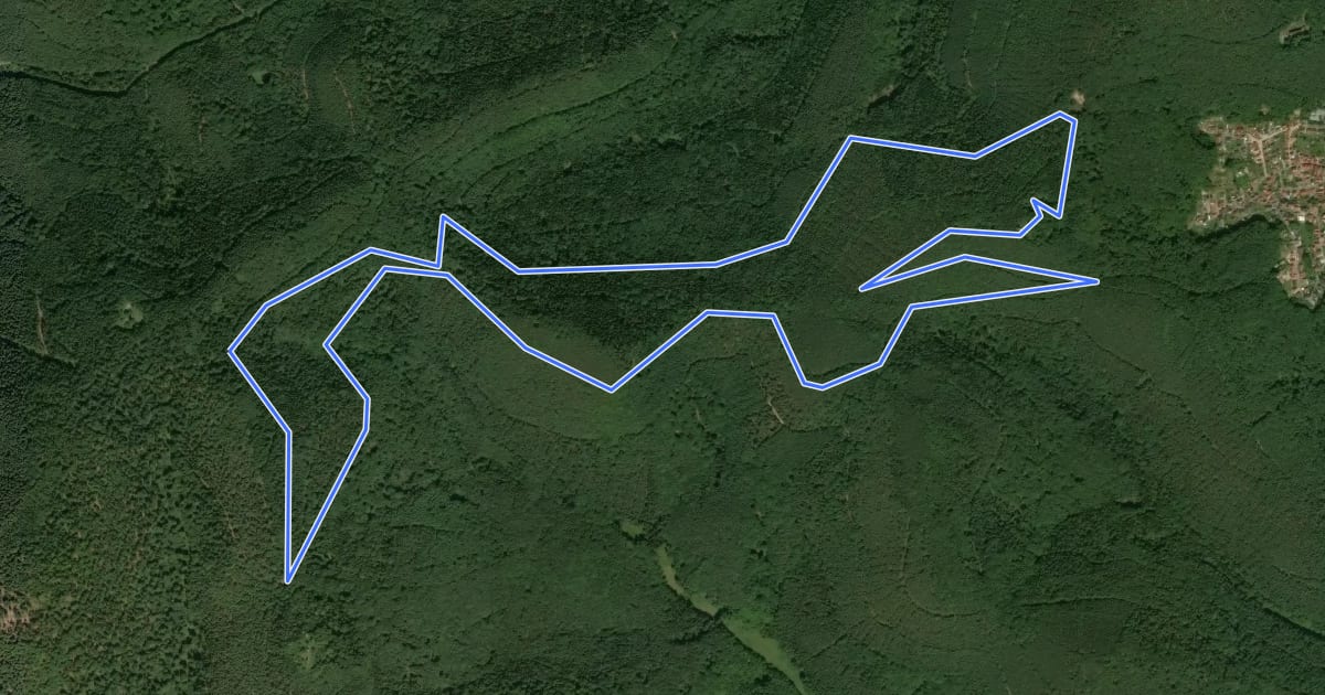 Маршрут Dornröschen Rundwanderweg, Dörrenbach на спутниковом снимке