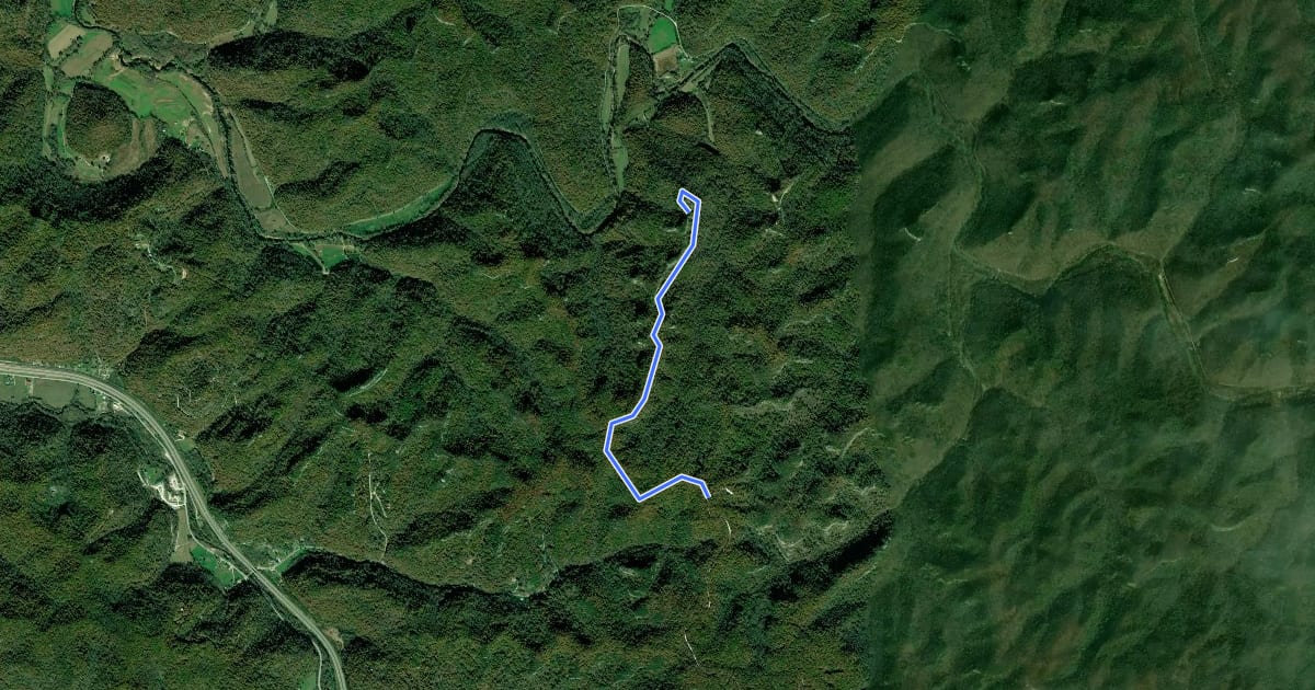 Маршрут Double Arch Trail #201 на спутниковом снимке