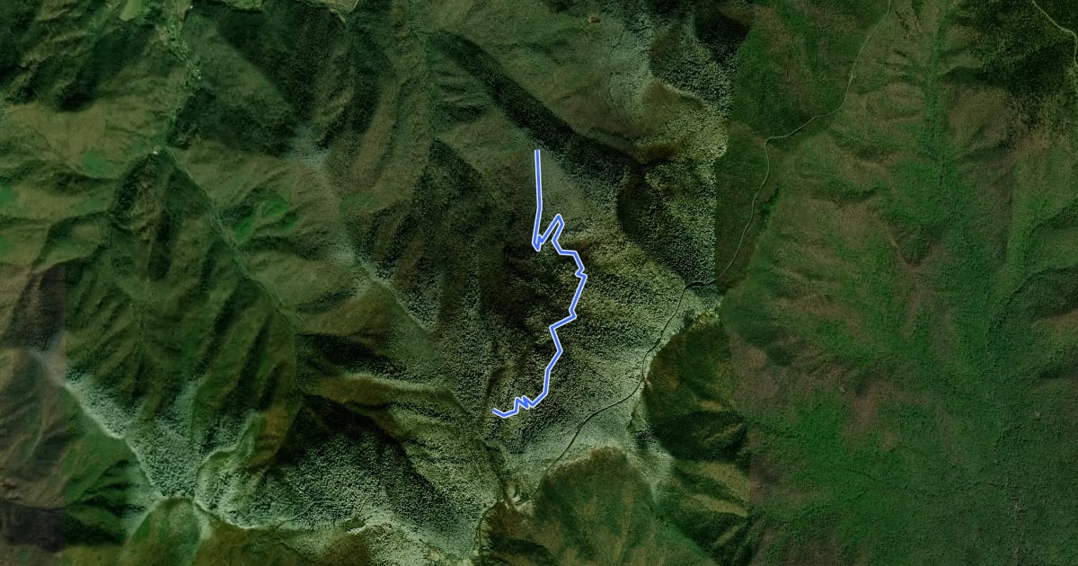 Маршрут Douglas Falls Trail на спутниковом снимке