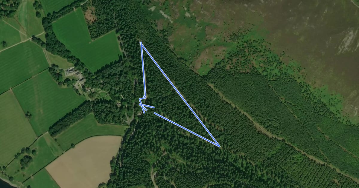 Маршрут Douglas Fir Trail на спутниковом снимке