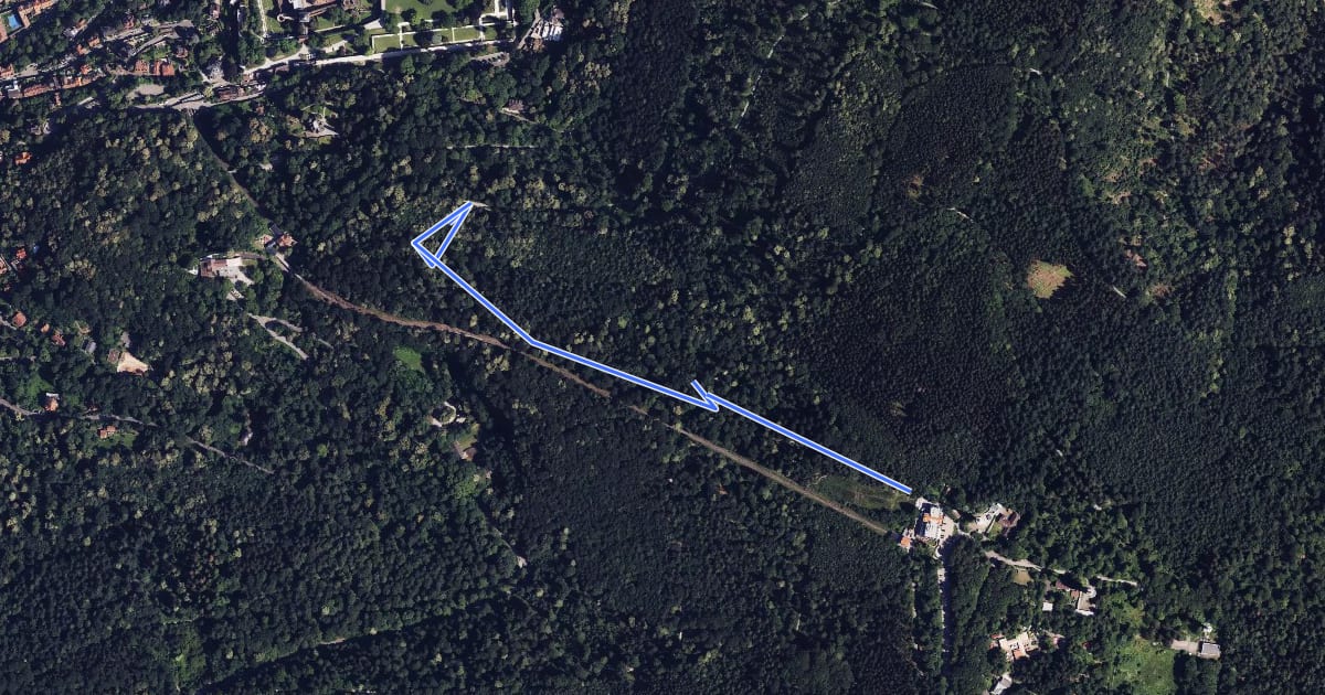 Маршрут Downhill Strecke на спутниковом снимке
