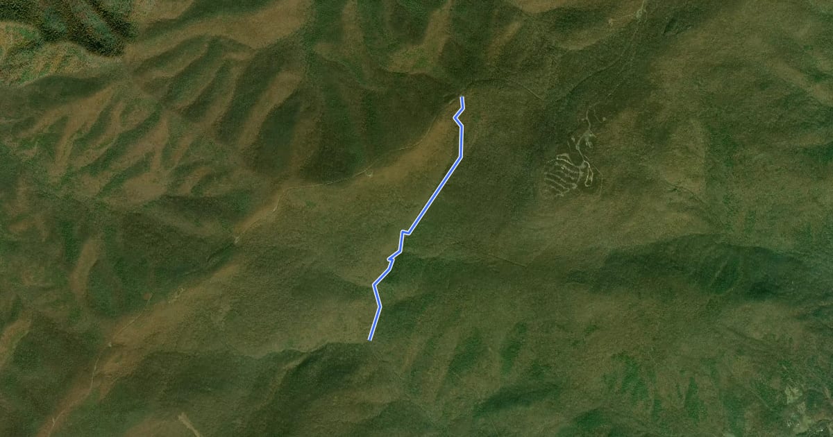 Маршрут Doyles River Trail на спутниковом снимке