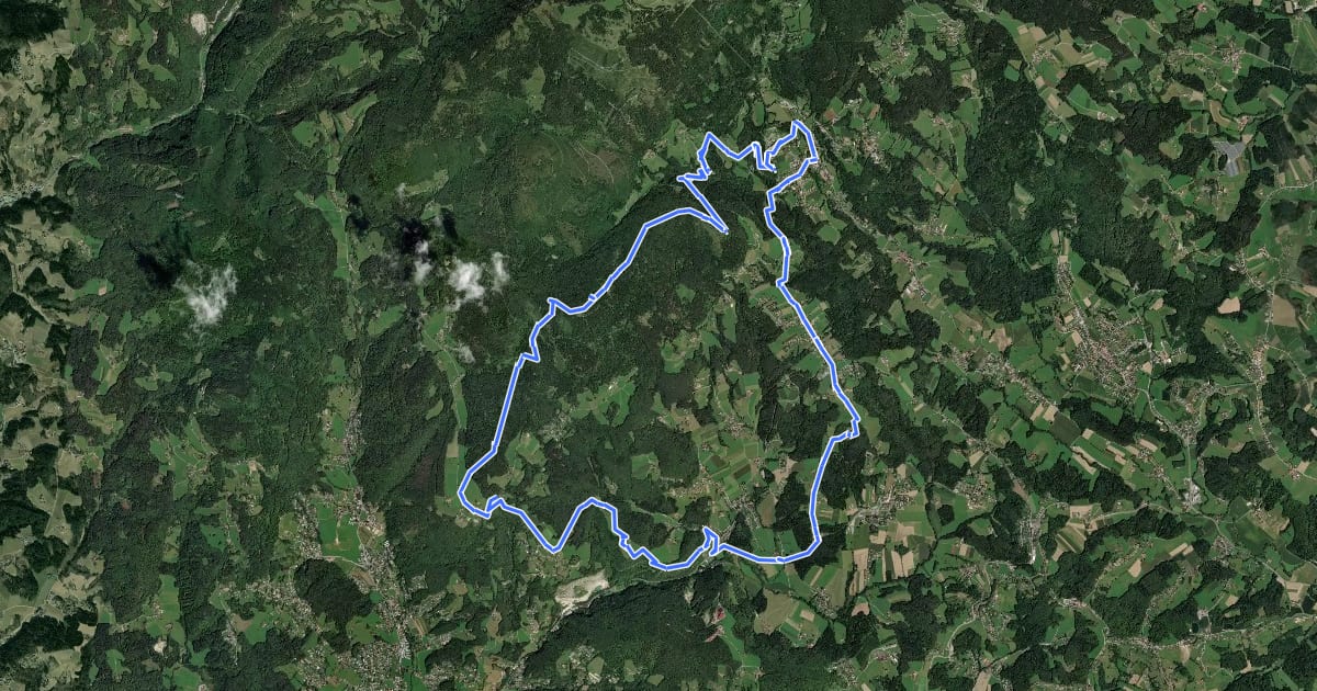 Маршрут Dr. Hans Fuchs Waldweg, Weitwander-Rundweg на спутниковом снимке