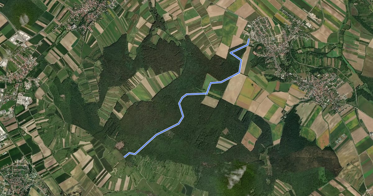 Маршрут Draßburg - Kogel (Nordic Walking) на спутниковом снимке