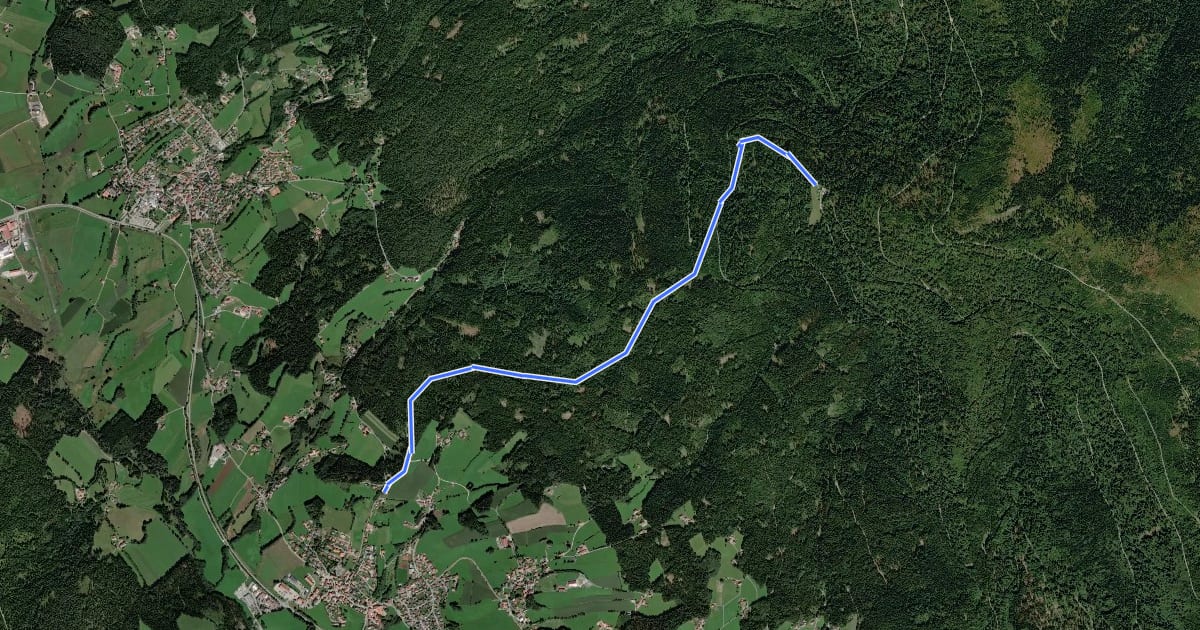 Маршрут Drachselsried: Dr1 - Scharebenweg на спутниковом снимке