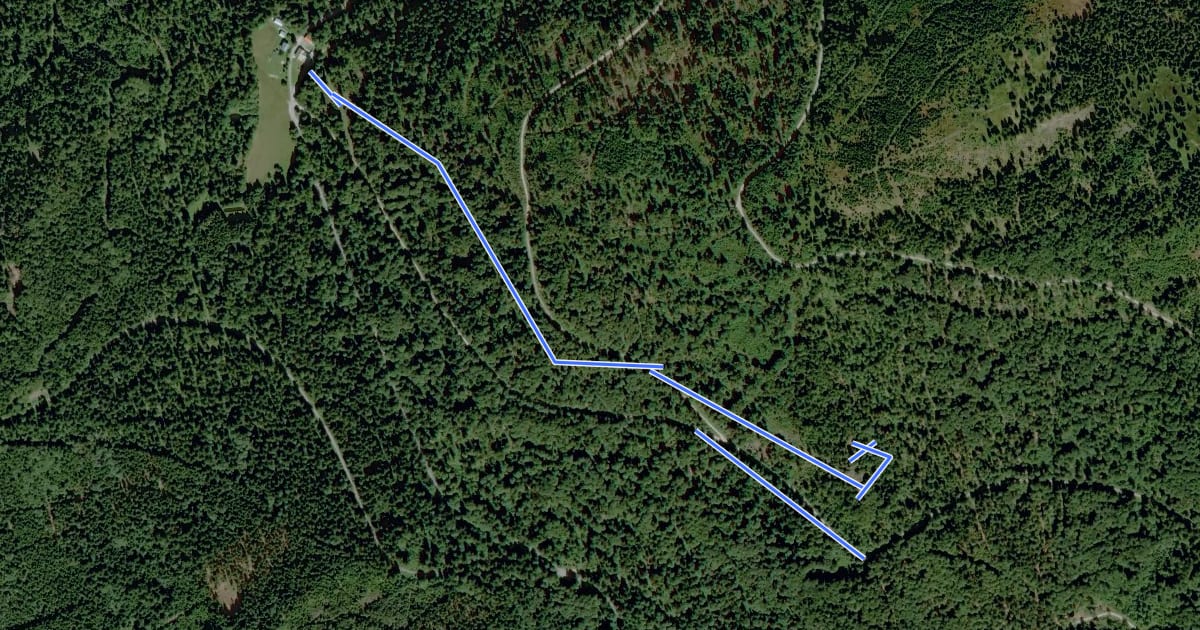 Маршрут Drachselsried: Dr60 - Hochsteintour на спутниковом снимке