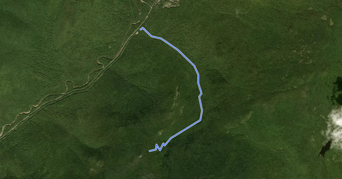 Маршрут Drakes Brook Trail на спутниковом снимке