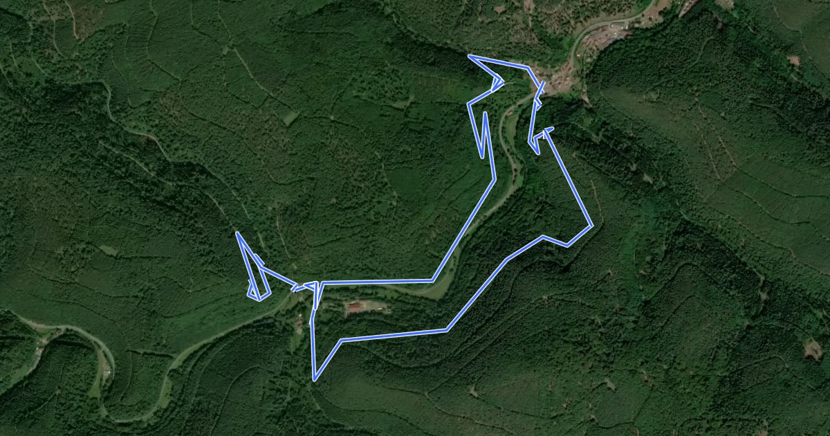 Маршрут Drei-Burgen-Rundweg, Lambrecht, Pfalz на спутниковом снимке