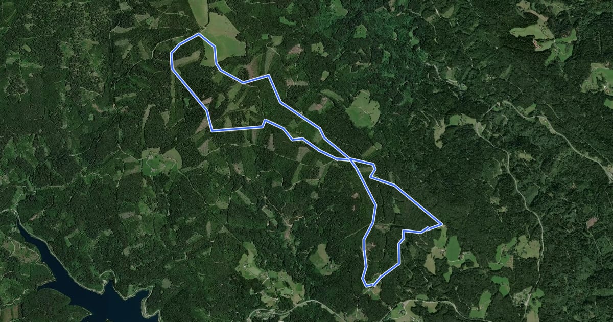 Маршрут Dreieckalm-Tour на спутниковом снимке