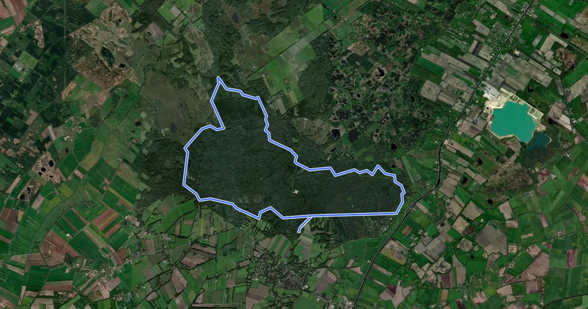 Маршрут Drents-Friese Wold Dagroute Groen на спутниковом снимке