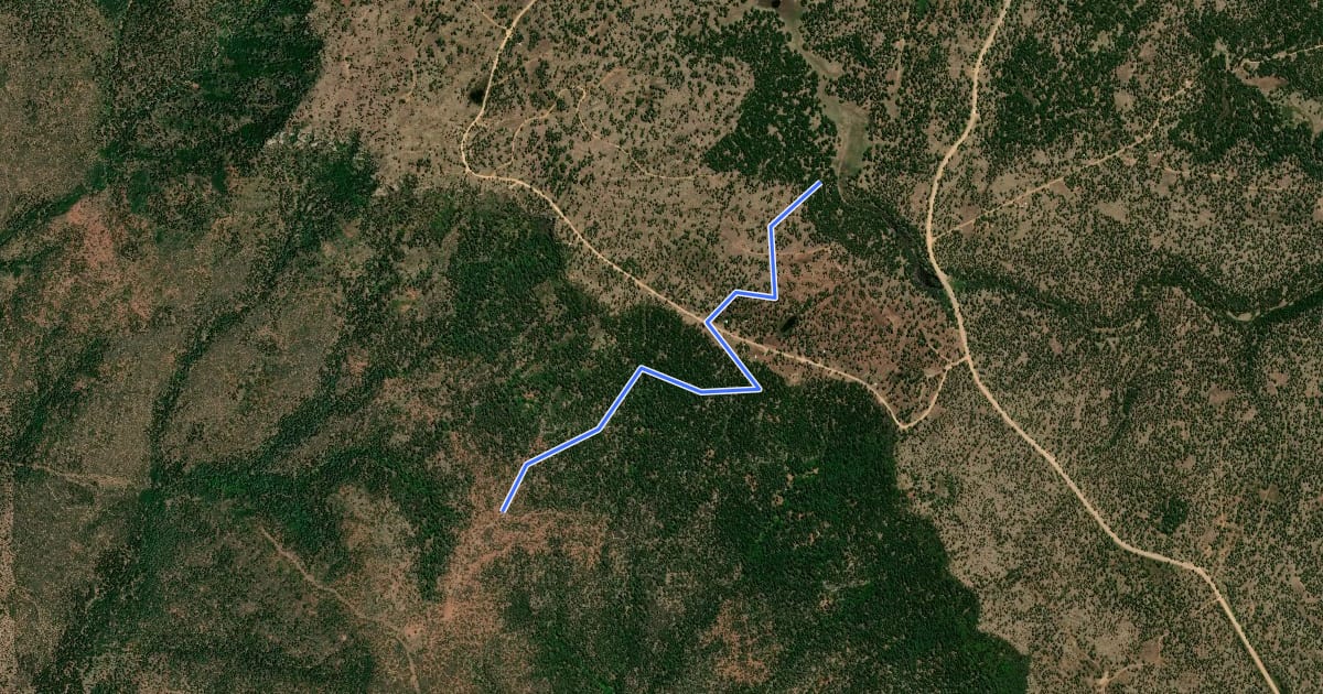 Маршрут Drew Trail #291 на спутниковом снимке