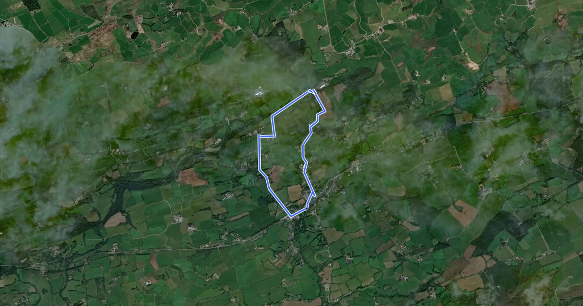 Маршрут Drimoleague Heritage Loop Walk на спутниковом снимке