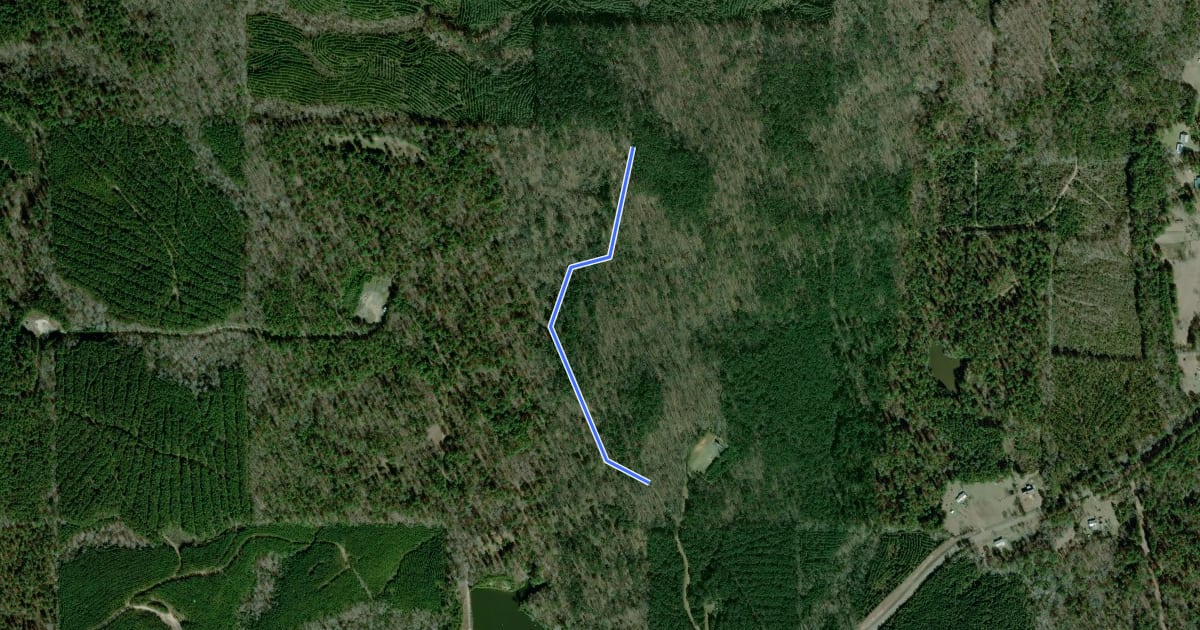 Маршрут Driskill Mountain Trail на спутниковом снимке