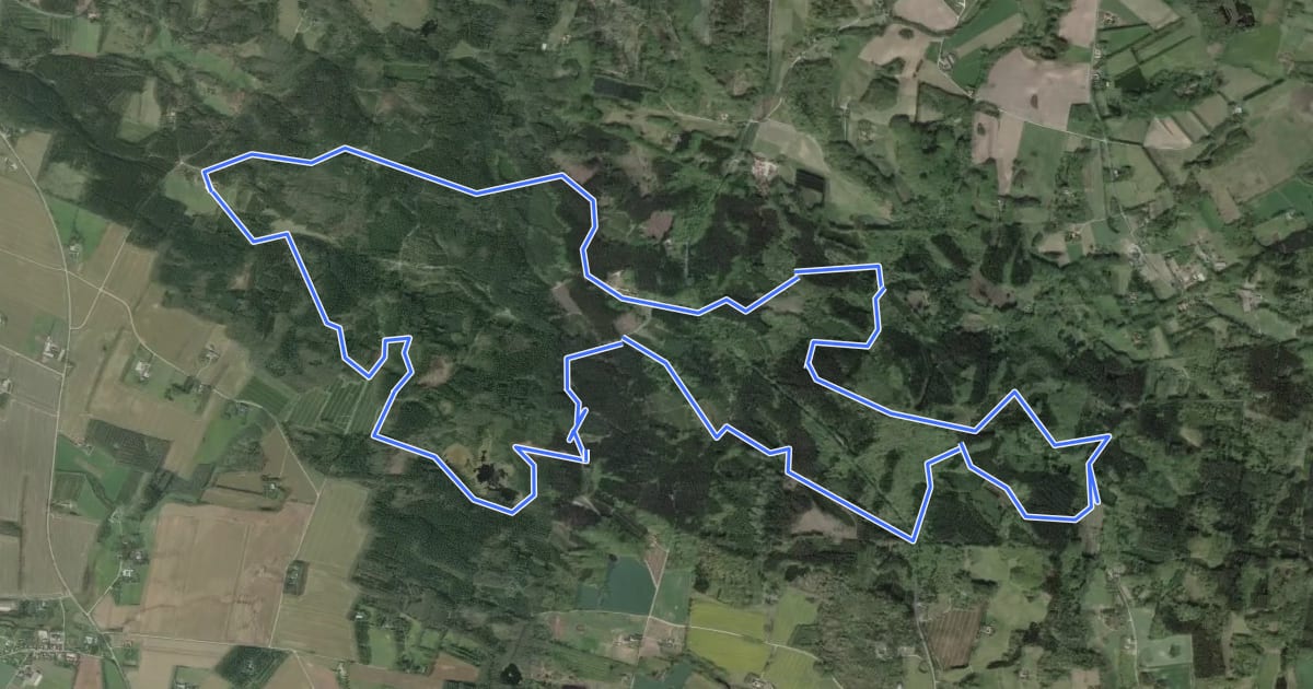 Маршрут Dronninglund Storskov rundtur на спутниковом снимке