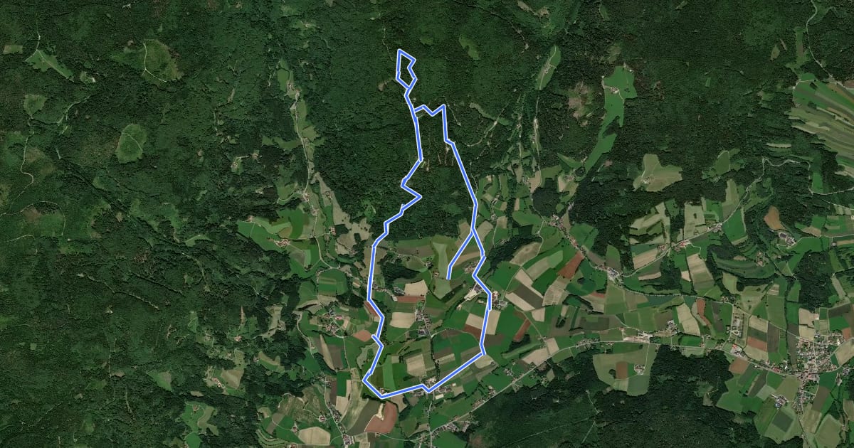 Маршрут Druidenweg - Peilsteinblick на спутниковом снимке