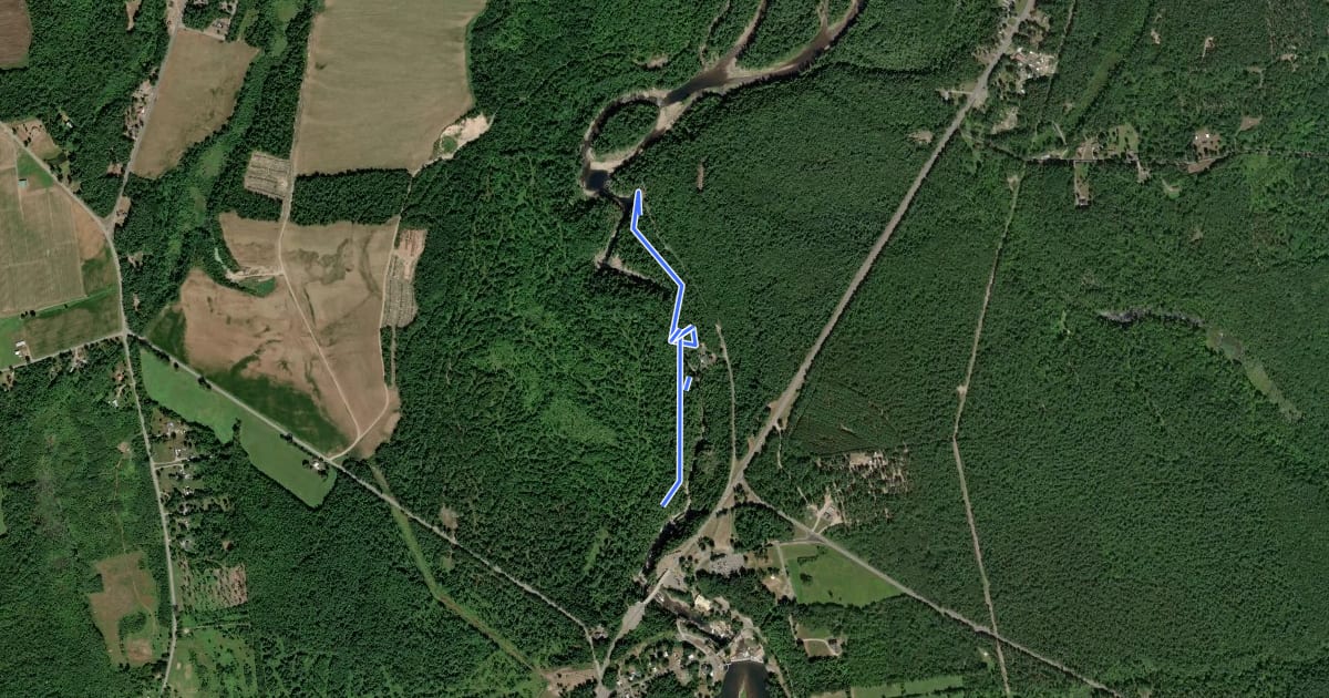 Маршрут Dry Chasm Trail на спутниковом снимке