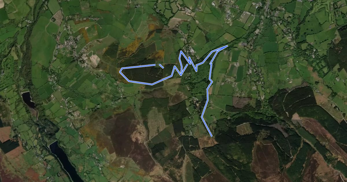 Маршрут Dublin Mountains Way Hellfire & Massey Spur на спутниковом снимке