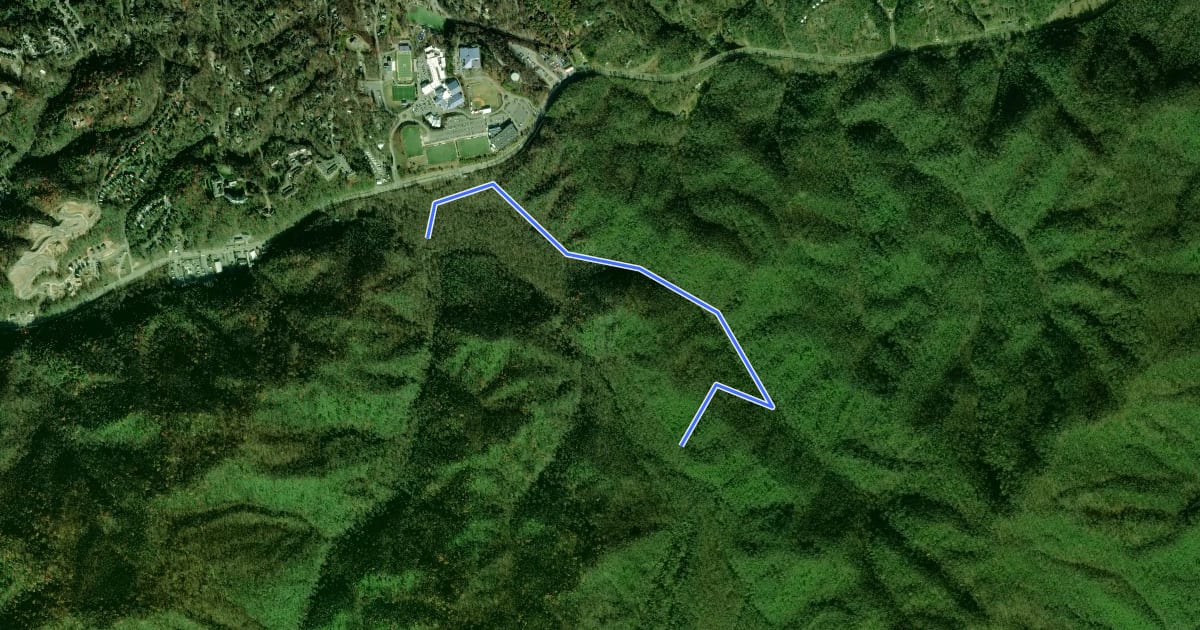 Маршрут Duds Branch Concession Horse Trail на спутниковом снимке