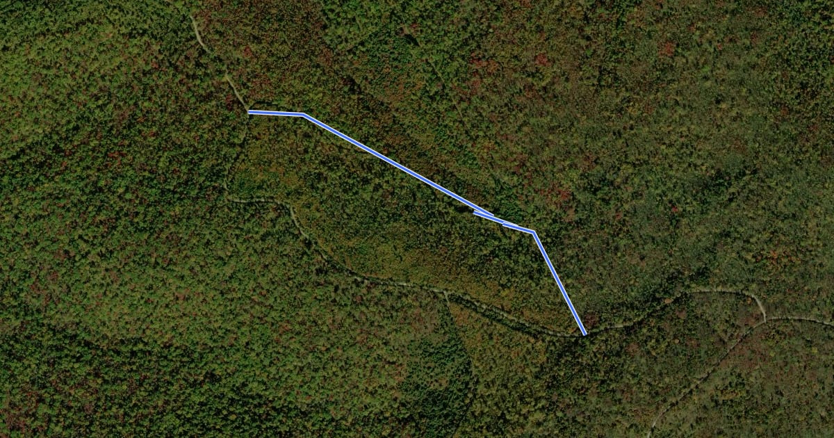 Маршрут Dug Hill Haul Road на спутниковом снимке