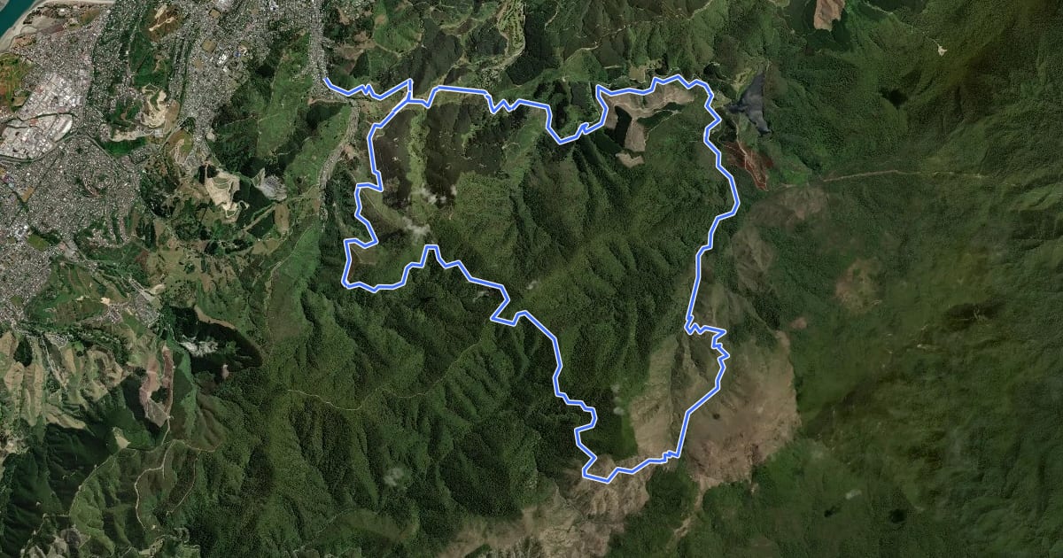 Маршрут Dun Mountain Trail - walking на спутниковом снимке