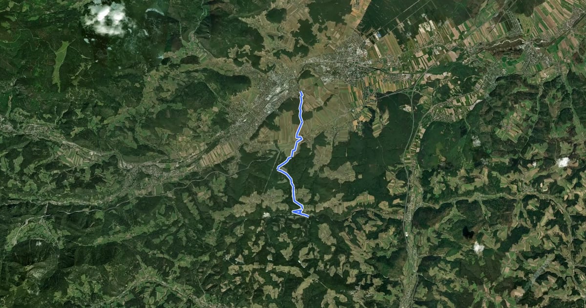 Маршрут Dunkelstein - Ober-Danegg - Am Forst - Haßbach на спутниковом снимке