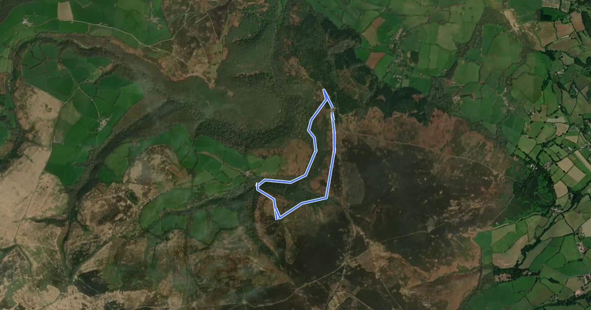 Маршрут Dunkery and Horner Wood circular walk на спутниковом снимке