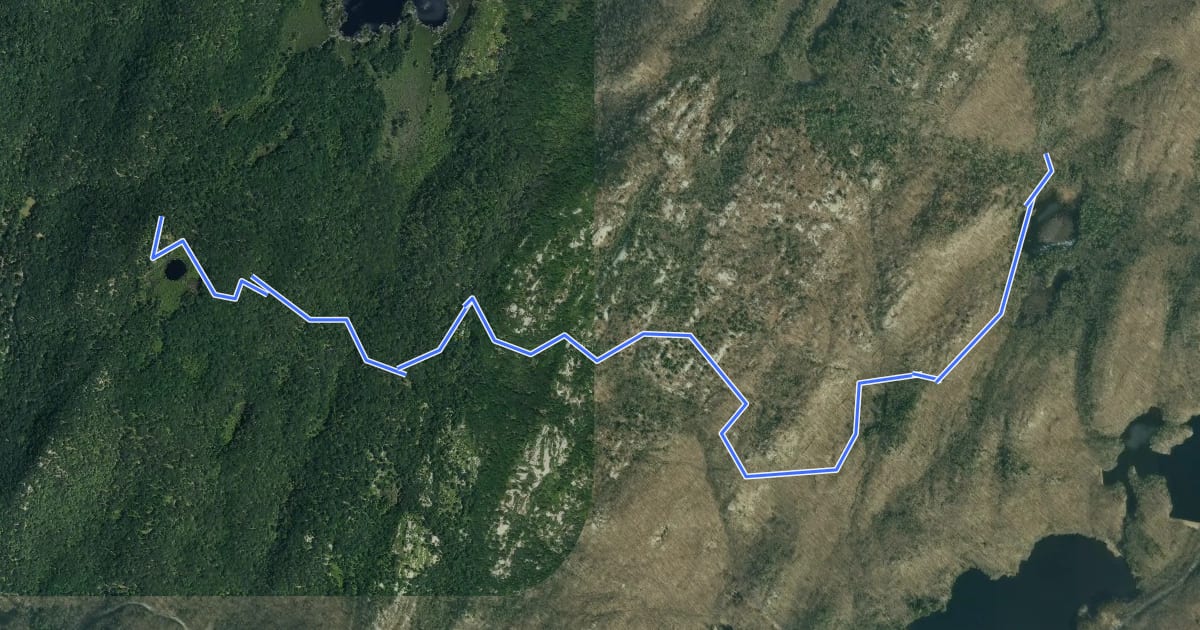 Маршрут Dunning Trail на спутниковом снимке