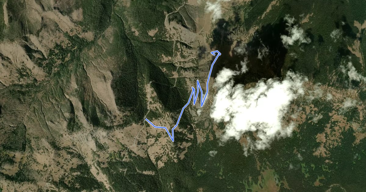 Маршрут Dunraven Pass - Mount Washburn Trail на спутниковом снимке