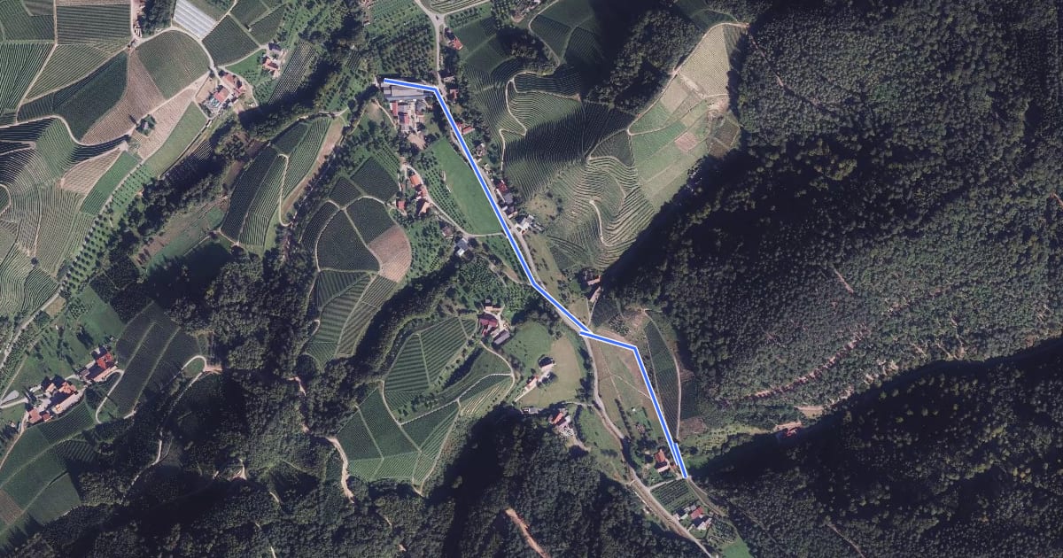 Маршрут Durbach-Obertal Sägewerk - Am Durbachtalweg на спутниковом снимке