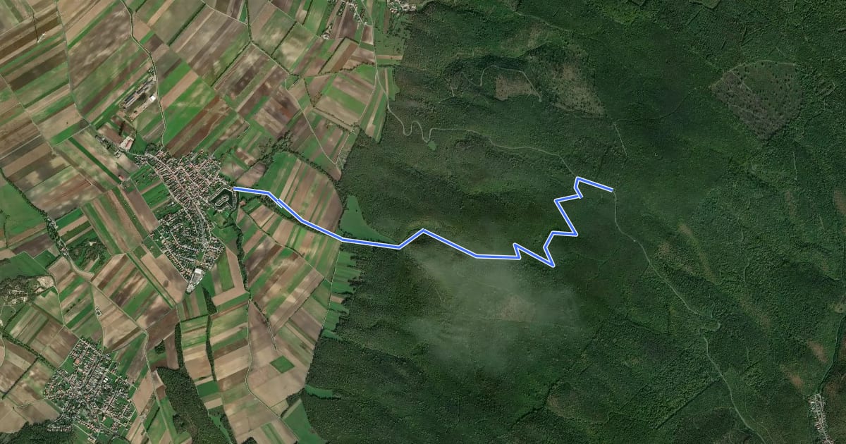 Маршрут Durch die Wüste (Au am Leithaberge - Kaisereiche) на спутниковом снимке