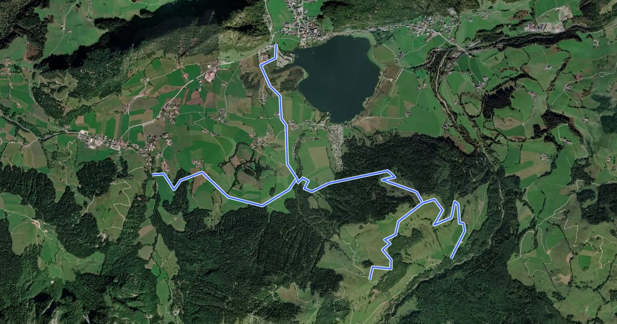 Маршрут Durchholzen/Walchsee - Lippenalm - Raineralm на спутниковом снимке