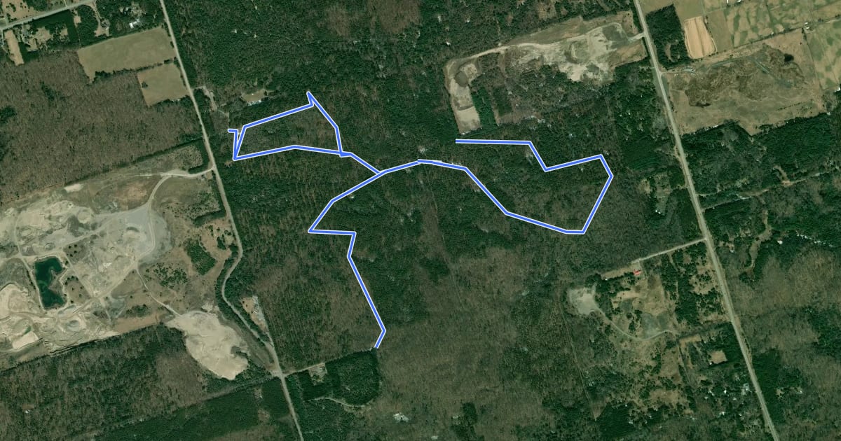 Маршрут Durham Regional Forest на спутниковом снимке