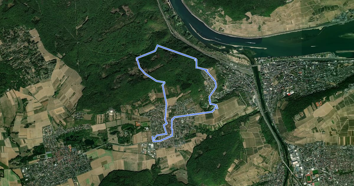 Маршрут DVV Binger Wald Römervilla Rheinblick 7 на спутниковом снимке