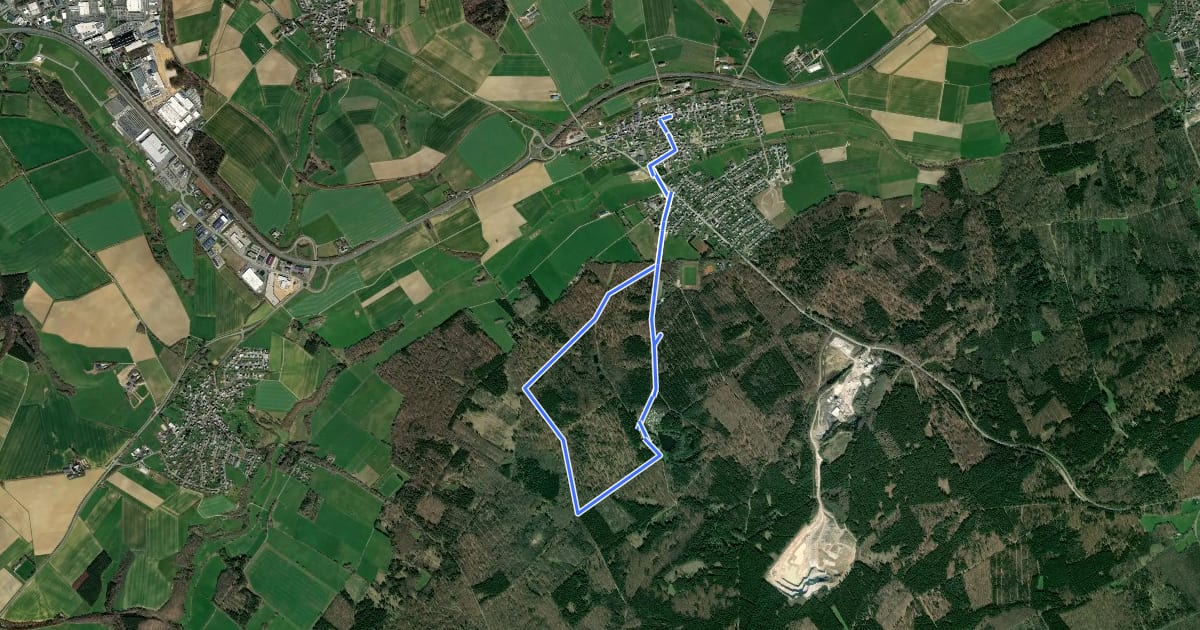 Маршрут DVV Geo-ErlebnisPfad Waldsee 6 на спутниковом снимке