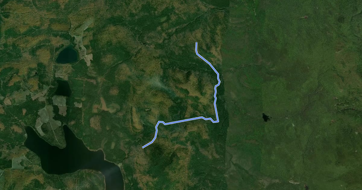 Маршрут Dwelley Pond Trail на спутниковом снимке