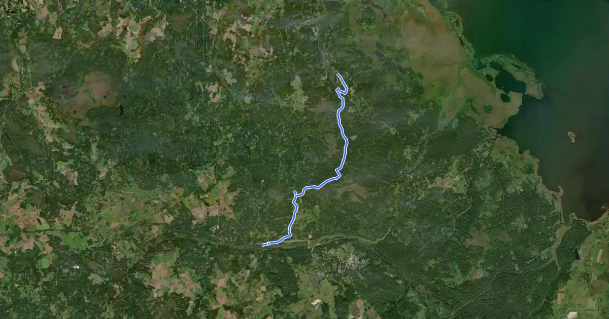 Маршрут E11 section 20: Vana-Vastseliina‒Kolodavitsa на спутниковом снимке