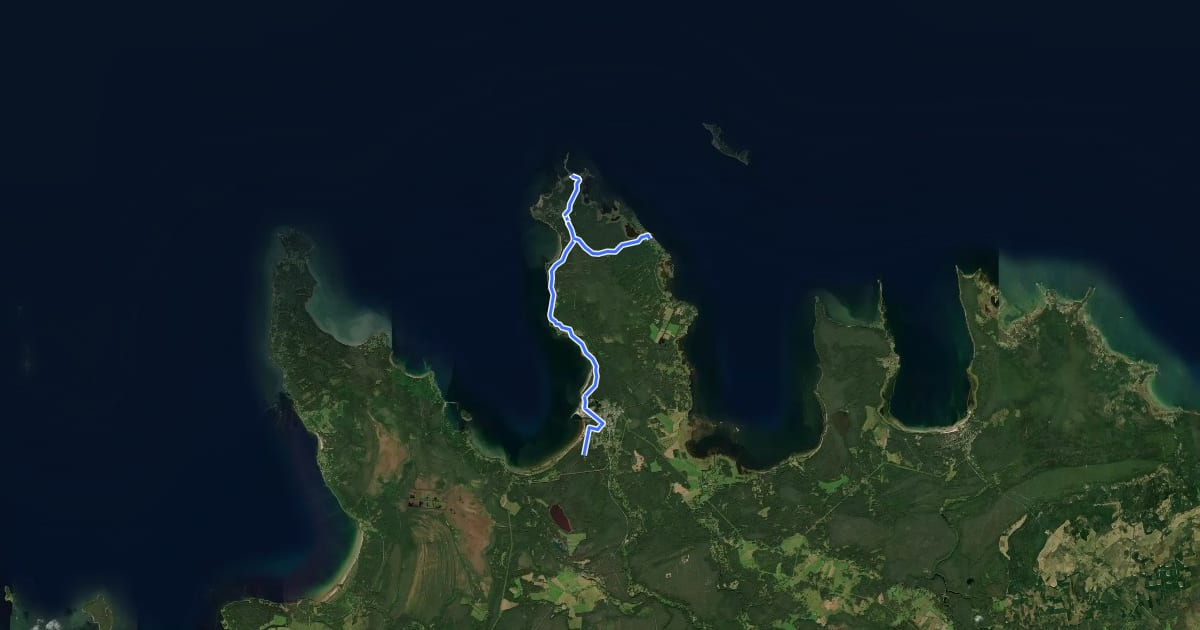 Маршрут E11 section 44: Viinistu‒Loksa на спутниковом снимке