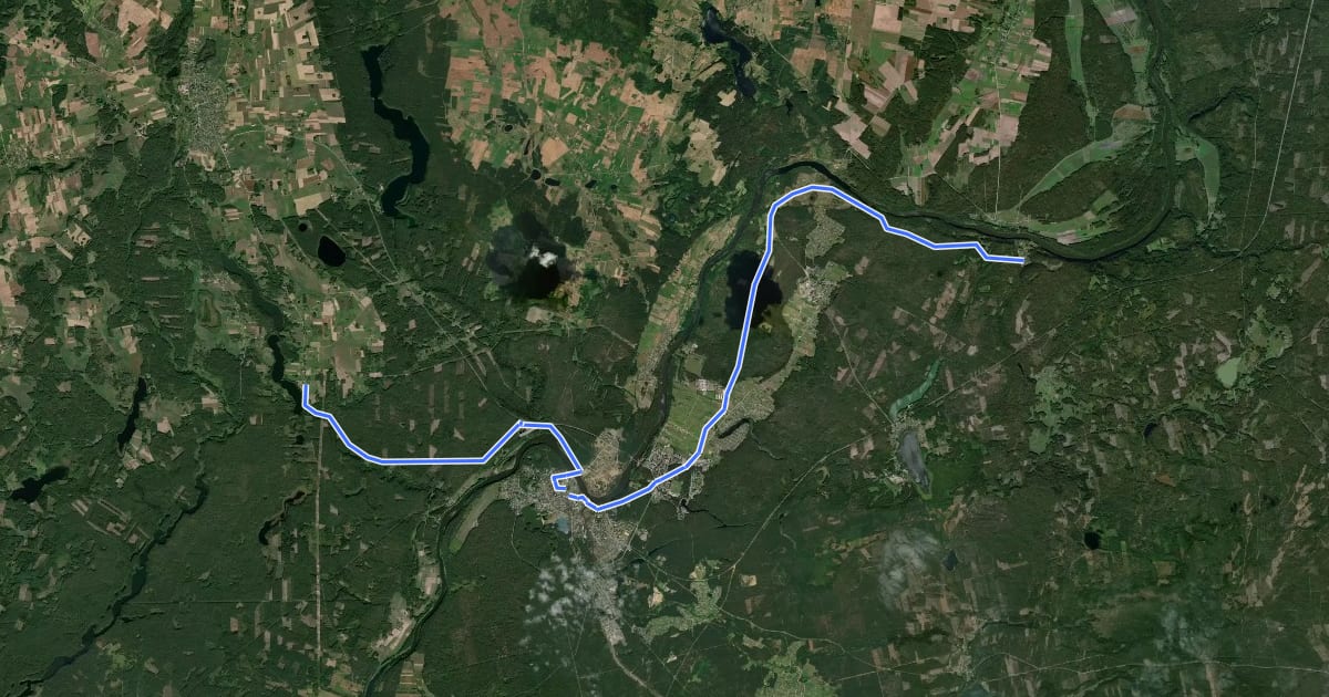 Маршрут E11 section 54: Didžiasalis – Druskininkai – Žiogeliai на спутниковом снимке