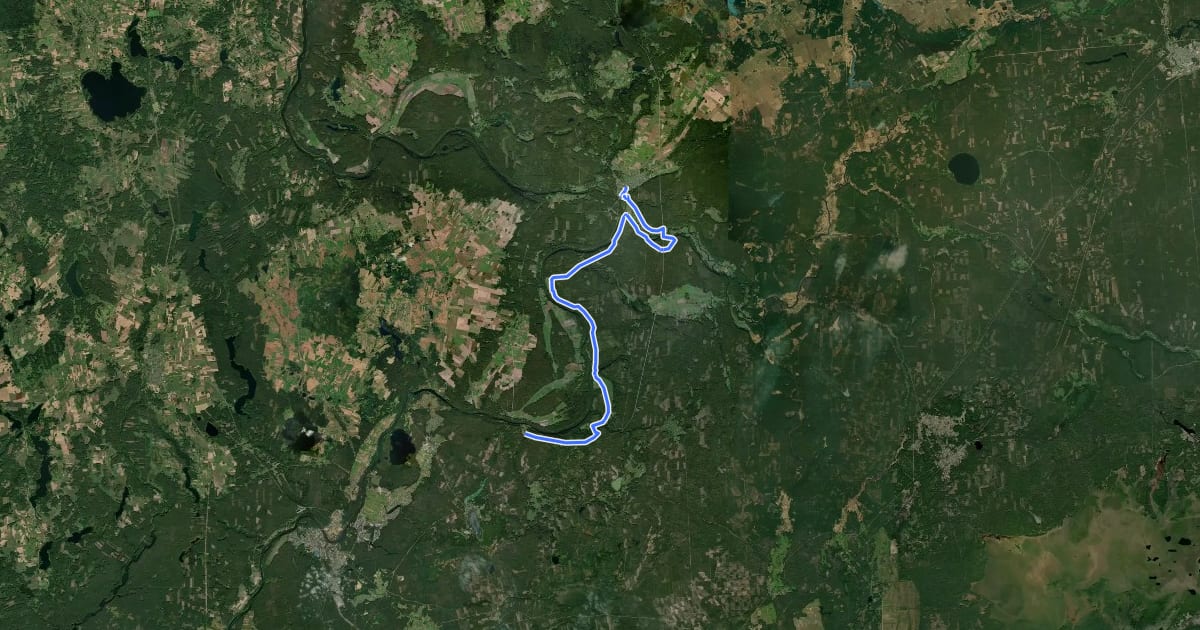 Маршрут E11 section 55: Žiogeliai – Merkinė на спутниковом снимке