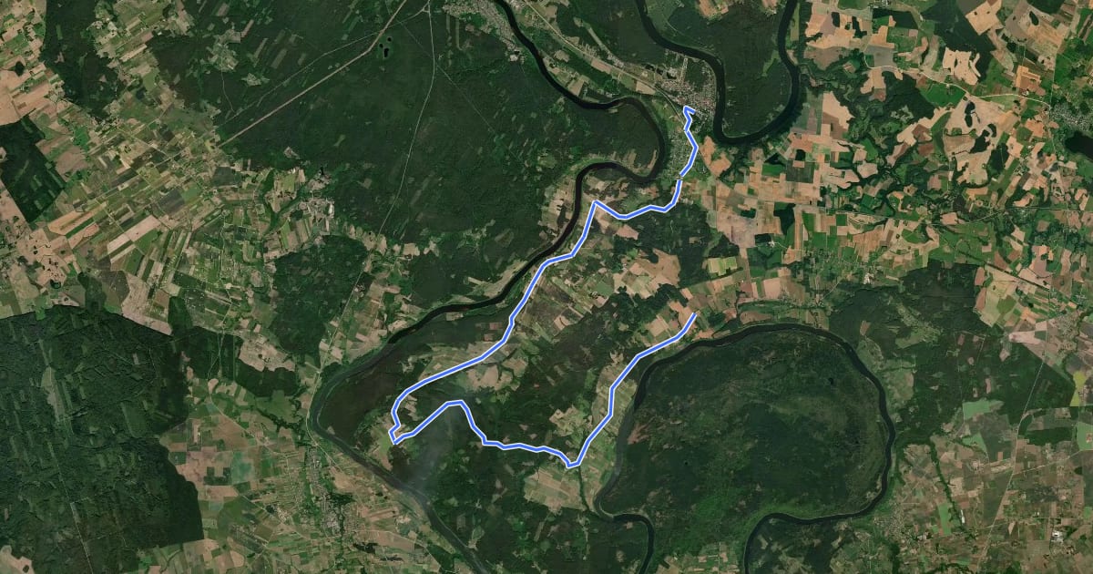 Маршрут E11 section 59: Panemunis – Birštonas на спутниковом снимке