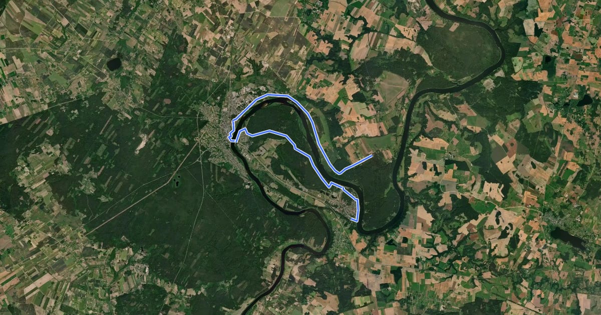 Маршрут E11 section 60: Birštonas – Alksniakiemis на спутниковом снимке