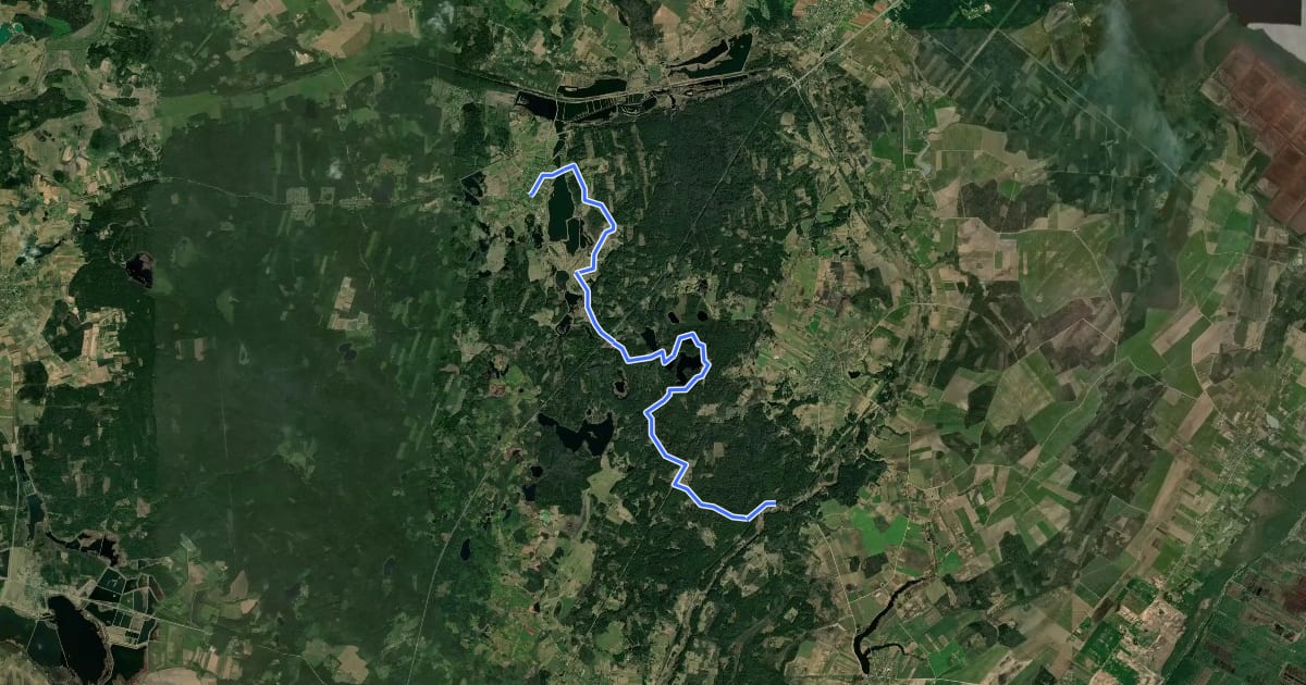 Маршрут E11 section 73: Aukštiškiai – Dengtiltis на спутниковом снимке
