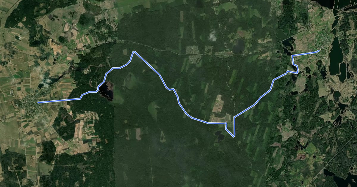 Маршрут E11 section 74: Kurtuvėnai – Šaukėnai на спутниковом снимке