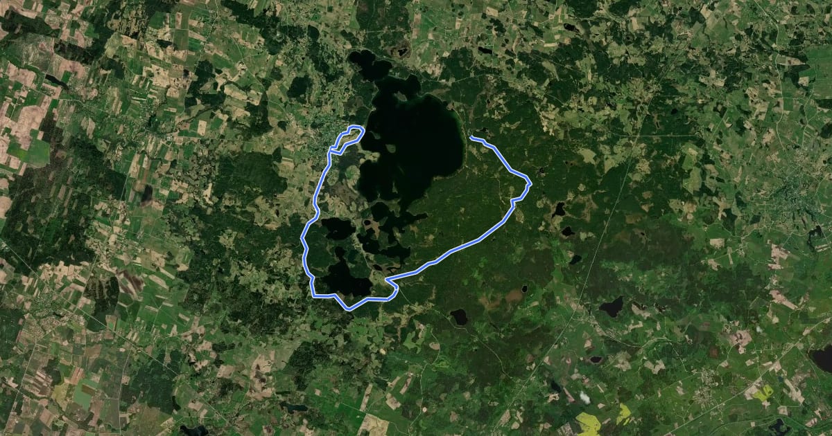 Маршрут E11 section 83: Paplatelė – Plateliai на спутниковом снимке