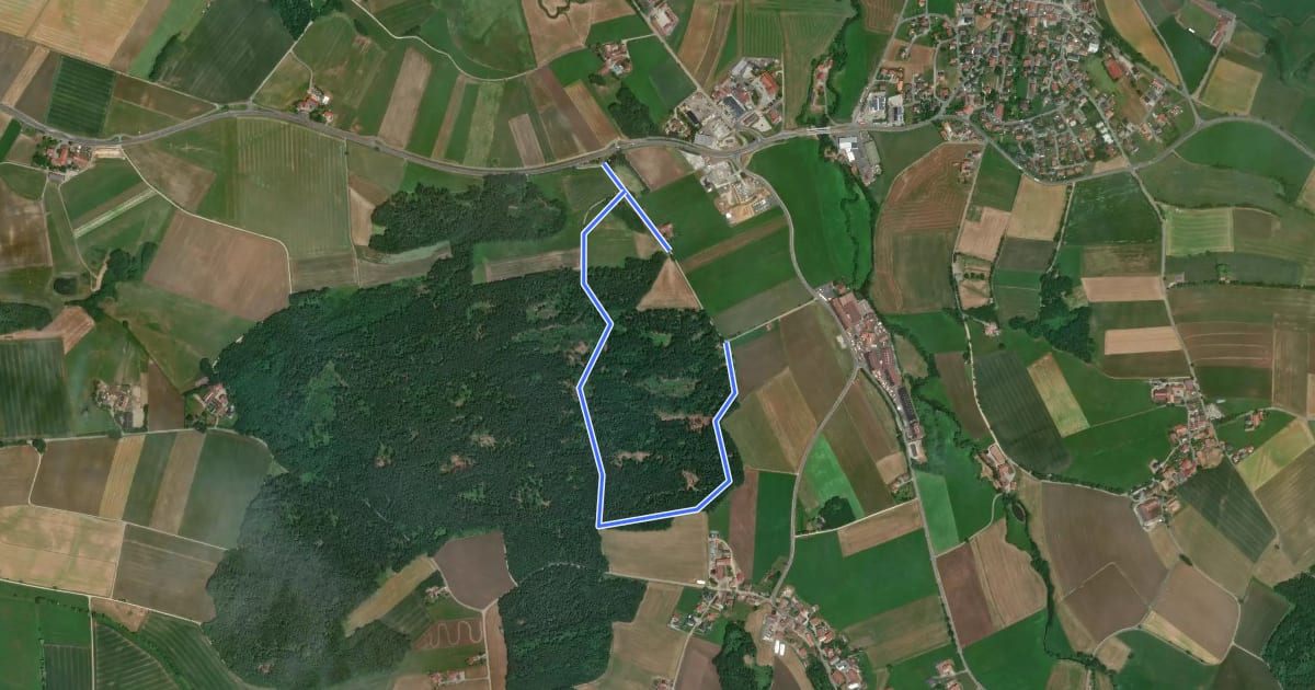 Маршрут E4 Karpflingweg на спутниковом снимке
