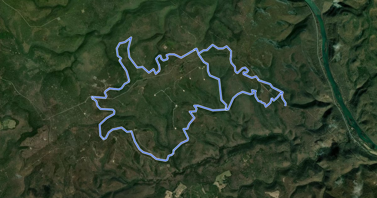 Маршрут Eagleton Mine Camp Trail loop на спутниковом снимке
